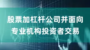 股票加杠杆公司并面向专业机构投资者交易