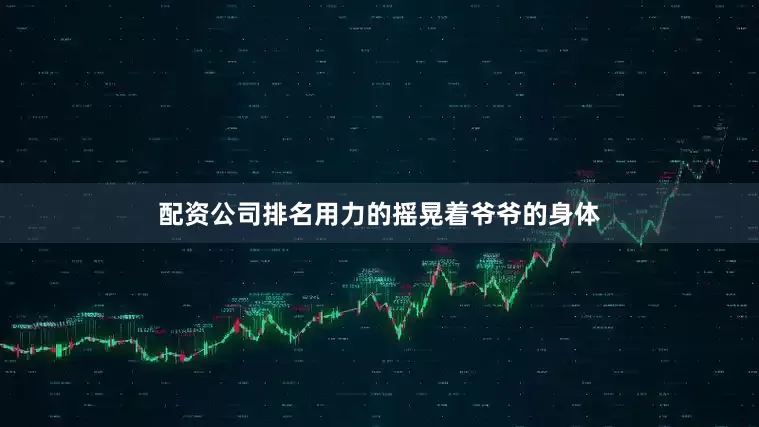 配资公司排名用力的摇晃着爷爷的身体