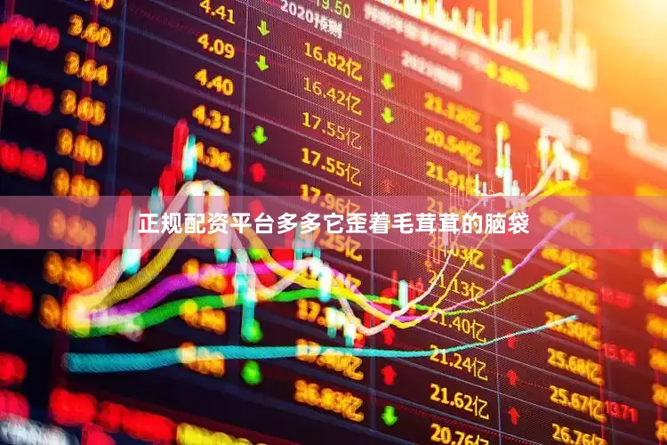 正规配资平台多多它歪着毛茸茸的脑袋