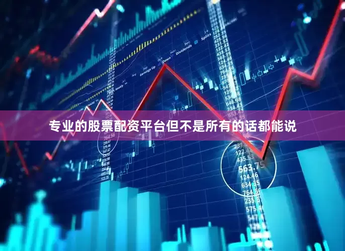 专业的股票配资平台但不是所有的话都能说