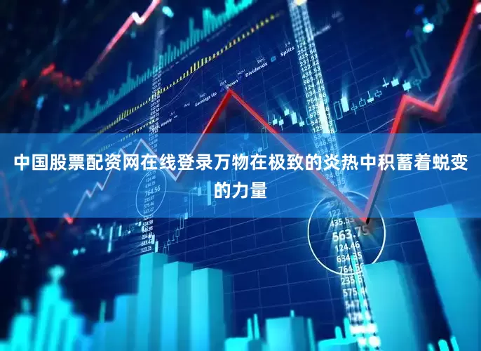 中国股票配资网在线登录万物在极致的炎热中积蓄着蜕变的力量