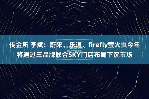 传金所 李斌：蔚来、乐道、firefly萤火虫今年将通过三品牌联合SKY门店布局下沉市场